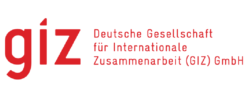 GIZ logo